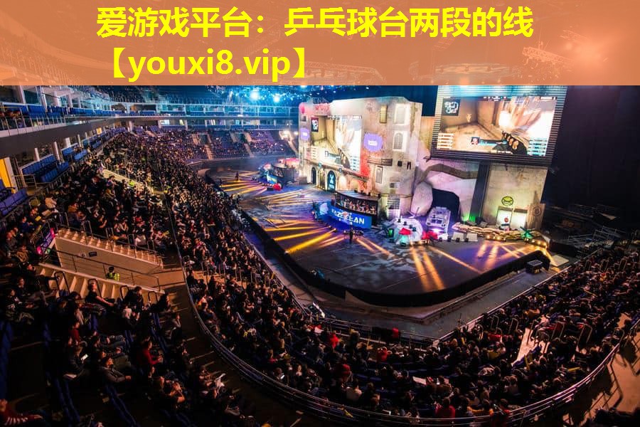 爱游戏平台：乒乓球台两段的线
