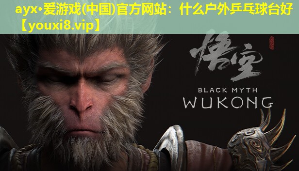 ayx·爱游戏(中国)官方网站：什么户外乒乓球台好