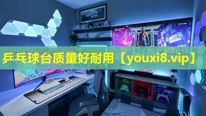 乒乓球台质量好耐用