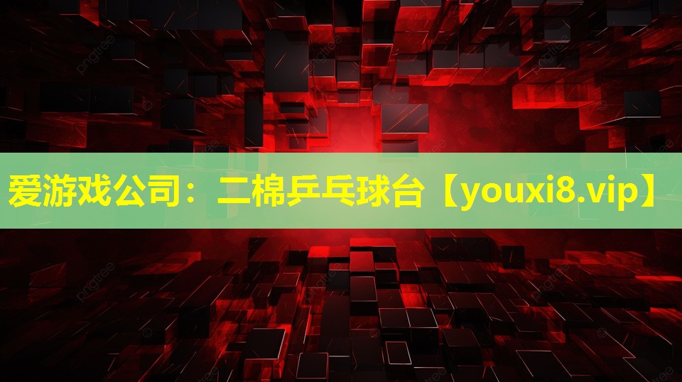 二棉乒乓球台 二棉乒乓球台