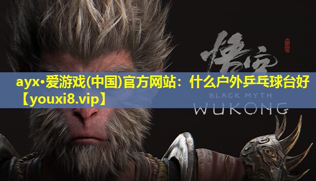 什么户外乒乓球台好